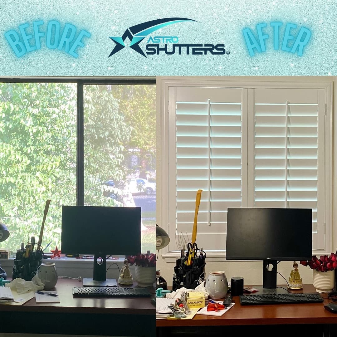 Professional consultation with fabric samples